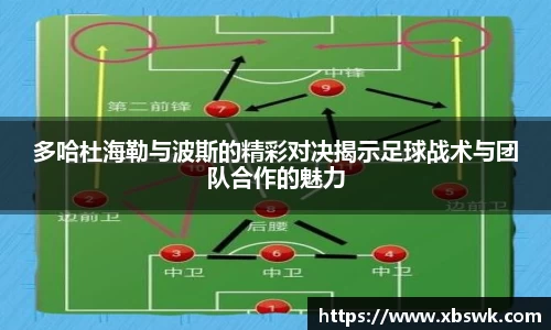 博鱼.体育官网